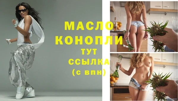 молекула духа Балахна