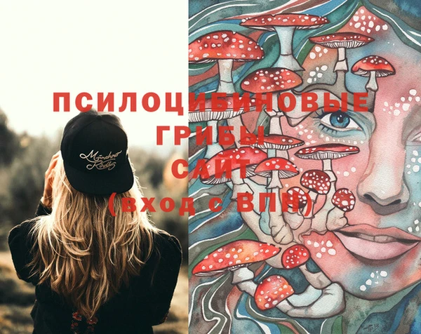 молекула духа Балахна