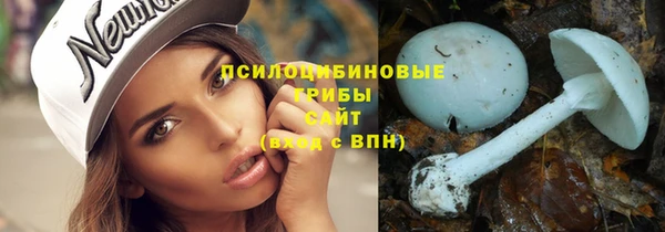 круглые Алзамай