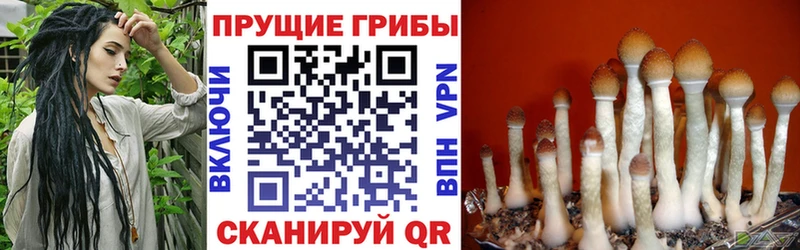 Галлюциногенные грибы Magic Shrooms  купить наркотик  Билибино 
